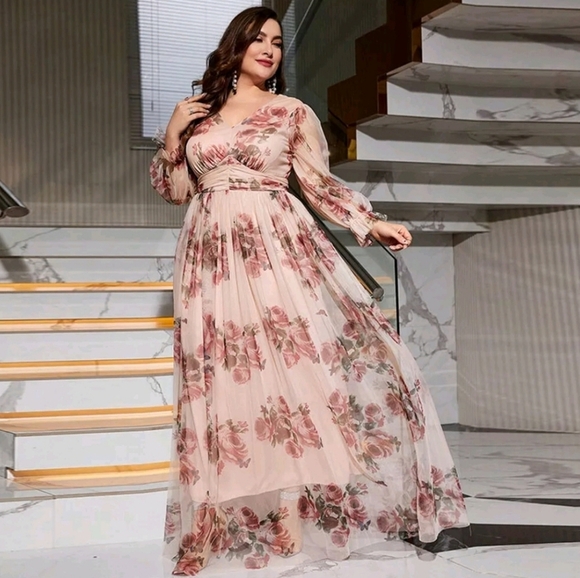 Toleen Plus Size Women Sheer Maxi Dress Size 4XL NWT - Picture 2 of 10